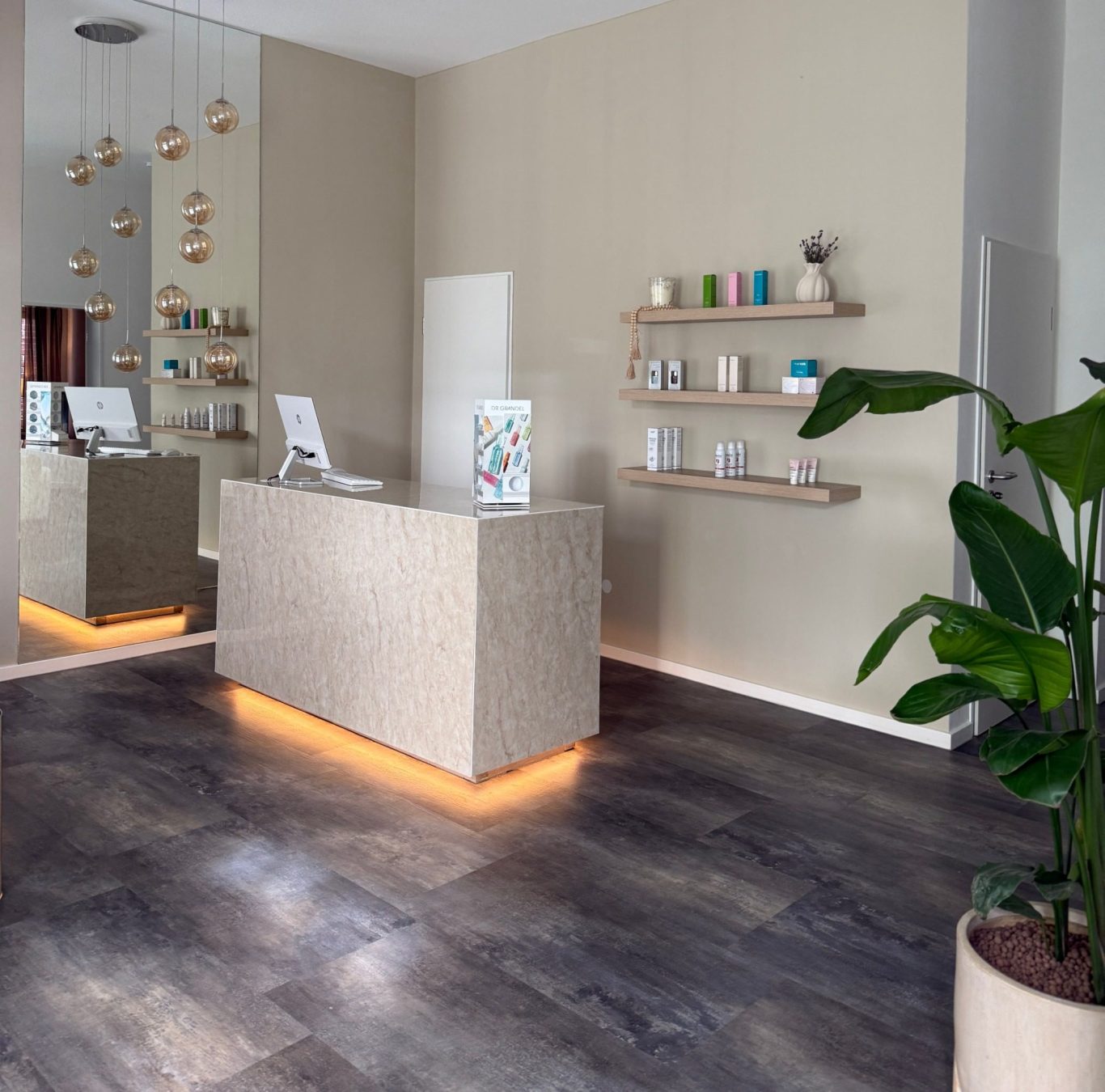 ALMA Kosmetik & Wellness - Empfangsbereich Ein heller Empfangsbereich mit modernem Tresen, Pflanzen und dekorativen Regalen.